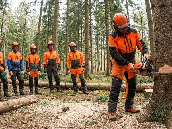Základné školenie - obsluha ručnej motorovej píly (ťažba dreva)